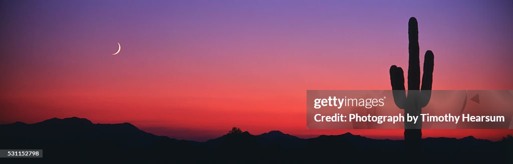 Saguaro cactus and new moon in Kofa Wildlife Refuge