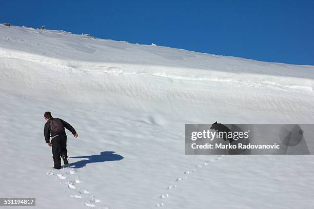 hiker and dog forming a heart in the snow - dog heat stock-fotos und bilder