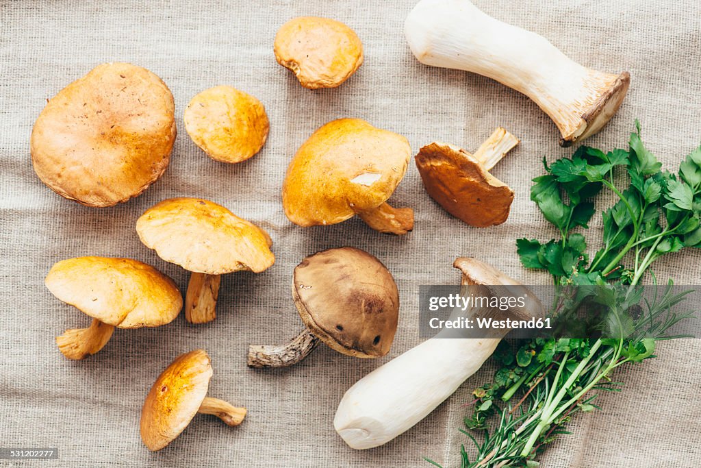 Assorted wild mushrooms