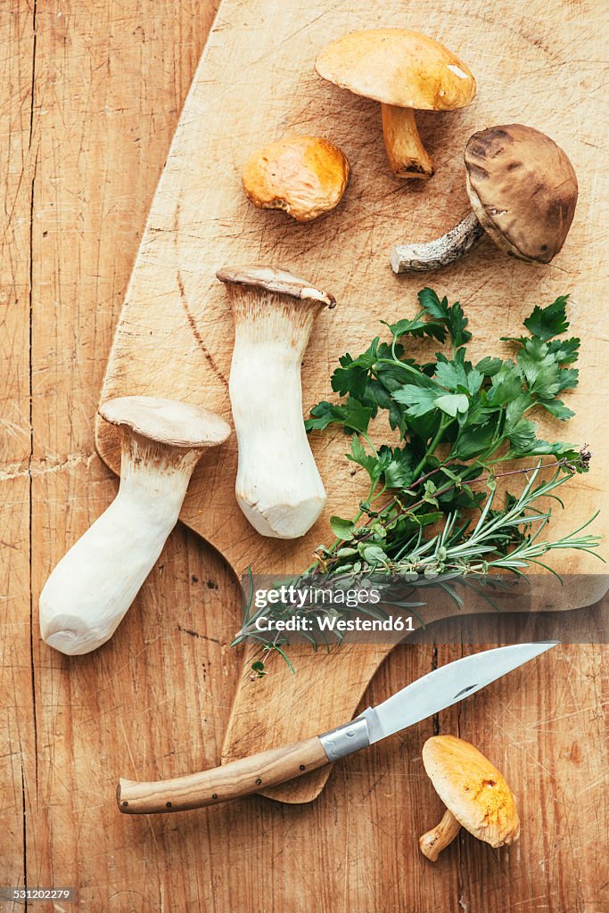 Assorted wild mushrooms