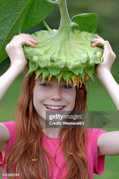 Top Of Head Hair Photos And Premium High Res Pictures - Getty Images