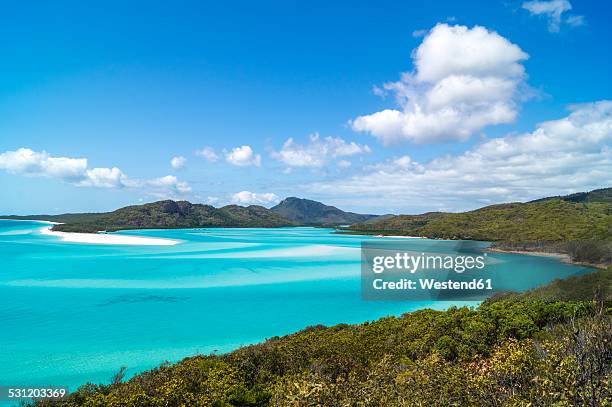australia, queensland, whitehaven beach - isla de whitsunday fotografías e imágenes de stock