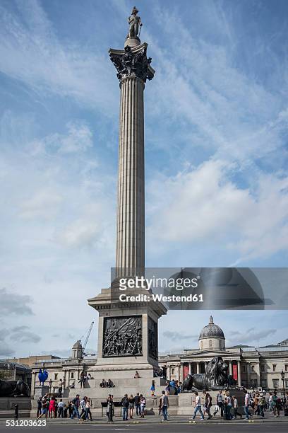 united kingdom, england, london, trafalgar square, nelson's column - trafalgar square stock-fotos und bilder