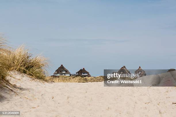 germany, schleswig-holstein, sylt, hoernum, odde, thatched-roof houses at dune - strohdach stock-fotos und bilder