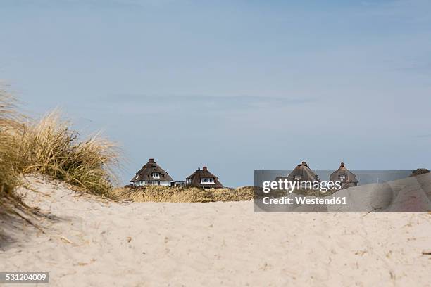 germany, schleswig-holstein, sylt, hoernum, odde, thatched-roof houses at dune - かやぶき屋根 ストックフォトと画像
