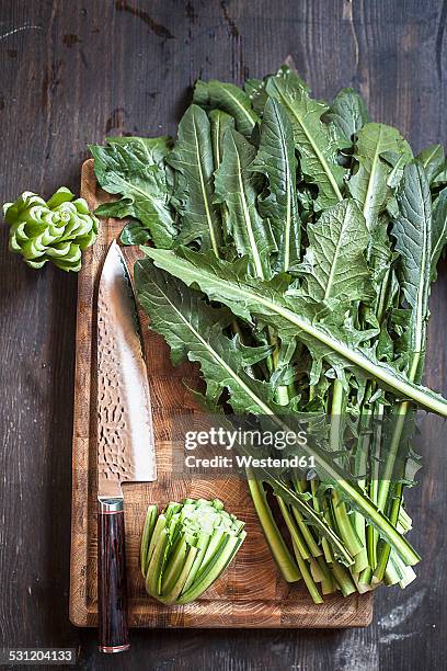 dandelion leaves, taraxacum officinale, and knife on a cutting board - dandelion leaf stock pictures, royalty-free photos & images