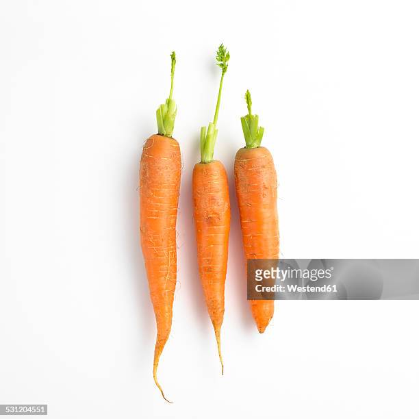 three carrots in a row - möhre stock-fotos und bilder