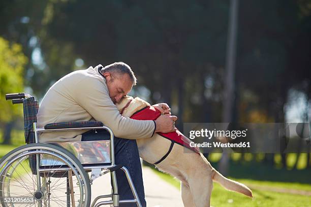 man in wheelchair hugging dog in park - assistance animals stock pictures, royalty-free photos & images