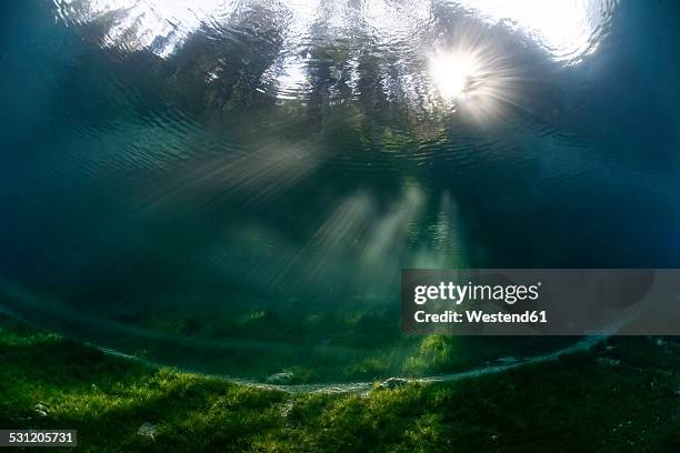 austria, styria, tragoess, upward view under water at the green lake - styria stock-fotos und bilder