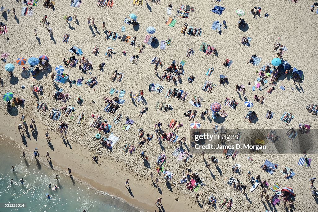 Sydney Siders Ignore Shark Sightings At Bondi Beach