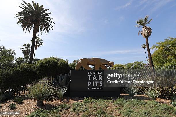 General view of the La Brea Tar Pits sign is seen on May 11, 2016 in the Miracle Mile District of Los Angeles, California.