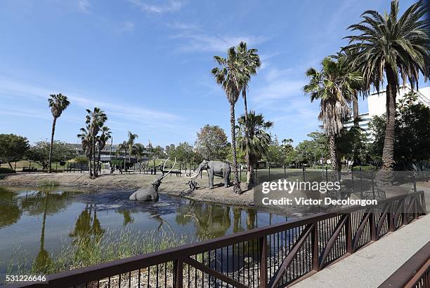 General exterior view of the La Brea Tar Pits is seen on May 11, 2016 in the Miracle Mile District of Los Angeles, California.