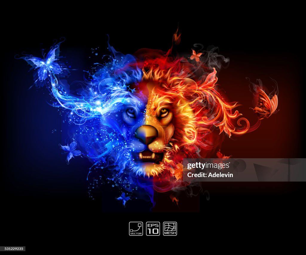 Abstract Fire and water lion