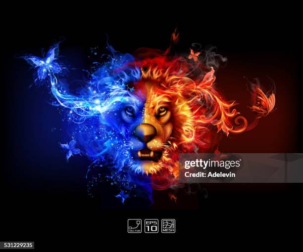 abstract fire and water lion - lion head stock illustrations