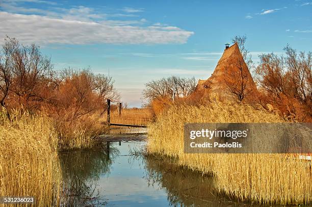 fisherman's hut, casoni, caorle lagoon, venice - caorle stock pictures, royalty-free photos & images
