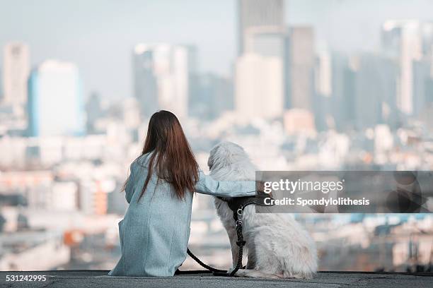 mädchen halten sie ihren hund beobachten der innenstadt von san francisco - rock dog stock-fotos und bilder