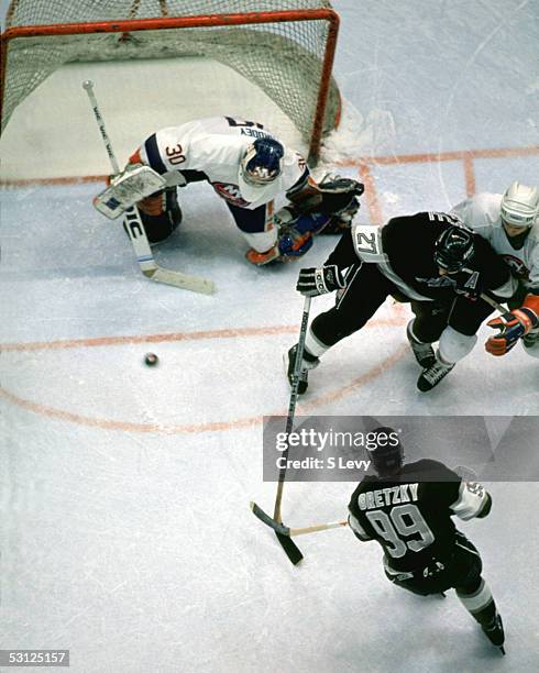 Wayne Gretzky of the Los Angeles Kings shoots as goalie Kelly Hrudey of the New York Islanders looks to make the save on January 19, 1989 at the...