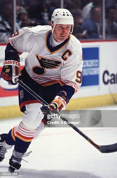 Wayne Gretzky And Player Blues Gretzky.