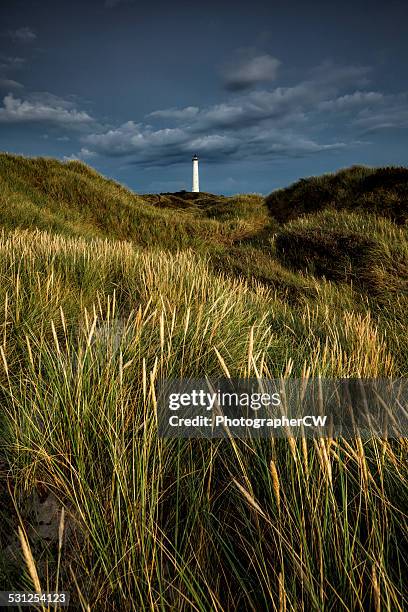 noerre lyngvig lighthouse, denmark - jutland stockfoto's en -beelden