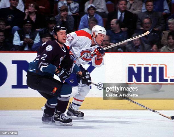 150 Patrick Poulin Stock Photos, HighRes Pictures, and Images Getty