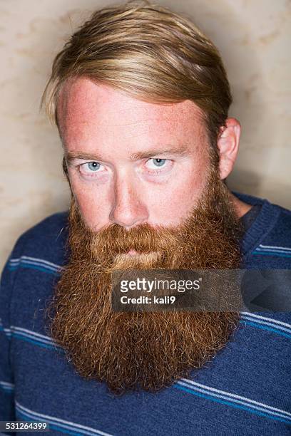 face of mid adult man with a long beard - long beard stockfoto's en -beelden