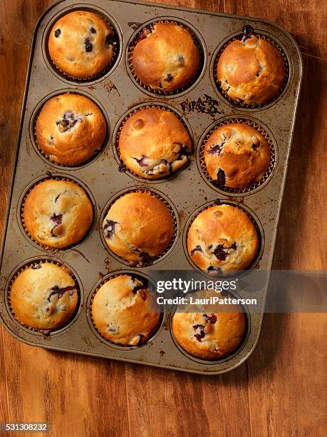 hausgemachte blaubeer-muffins - muffin top stock-fotos und bilder