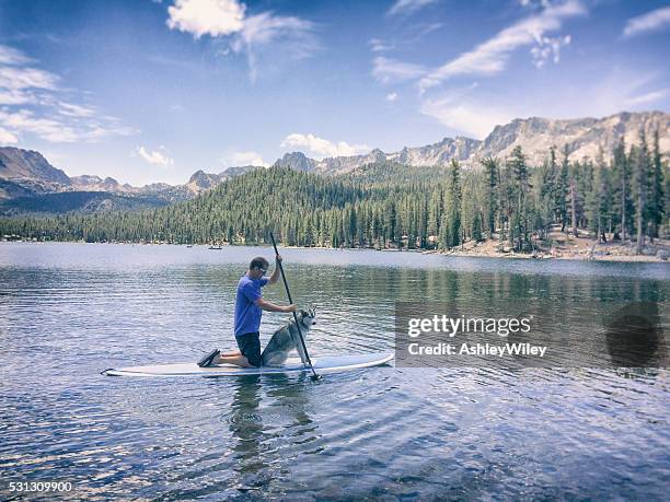 man and dog paddle on a lake in mammoth, california - medelålderskris bildbanksfoton och bilder