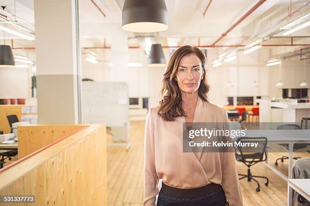 modern office shoot - businesswoman classy stockfoto's en -beelden