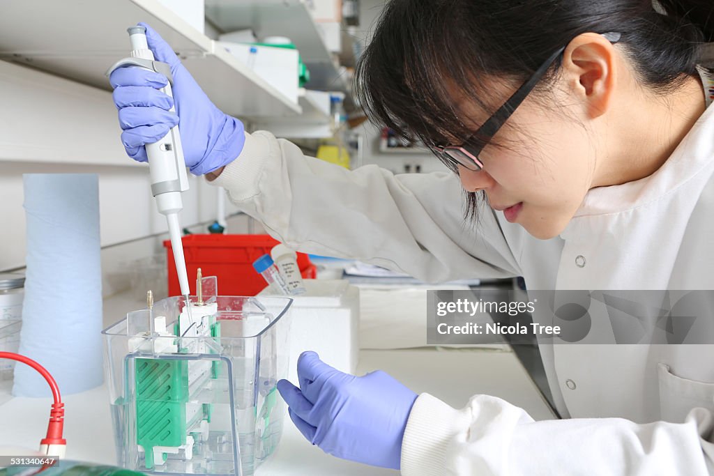 Female scientist pipetting gel into machine