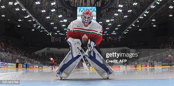 Hungary's goalie Miklos Rajna looks into the net during the group B preliminary round game Hungary vs Belarus at the 2016 IIHF Ice Hockey World...