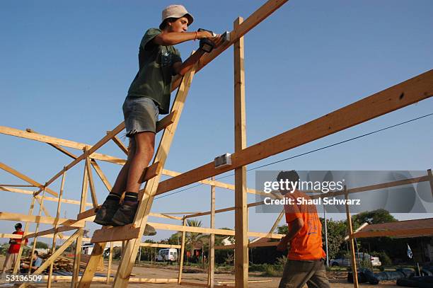 Young settlers build new shacks June 19, 2005 in the Settlement of Kfar Darom in Gush Katif, Gaza Strip settlement block. With lees then two months...