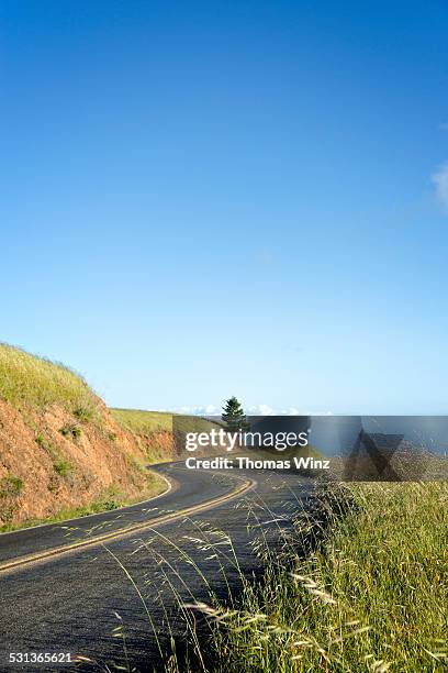 road along pacific coastline - pacific-coast-ranges stockfoto's en -beelden