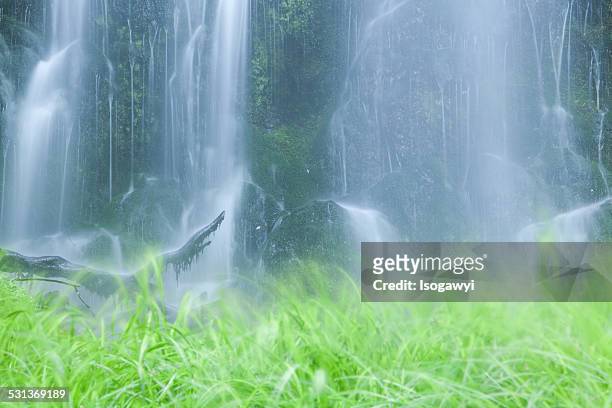 the water of life - isogawyi stock pictures, royalty-free photos & images