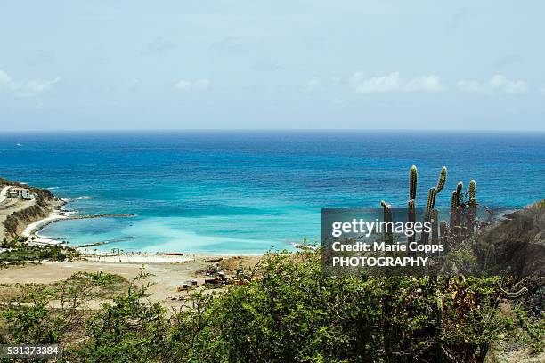 view of the ocean - marie copps stockfoto's en -beelden