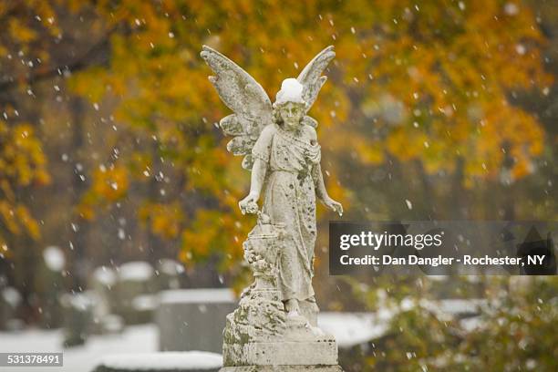 snow angel in mount hope cemetery - rochester bundesstaat new york stock-fotos und bilder