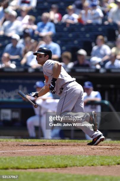Brian Roberts of the Baltimore Orioles runs during the game against the Kansas City Royals at Kauffman Stadium on May 19, 2005 in Kansas City,...
