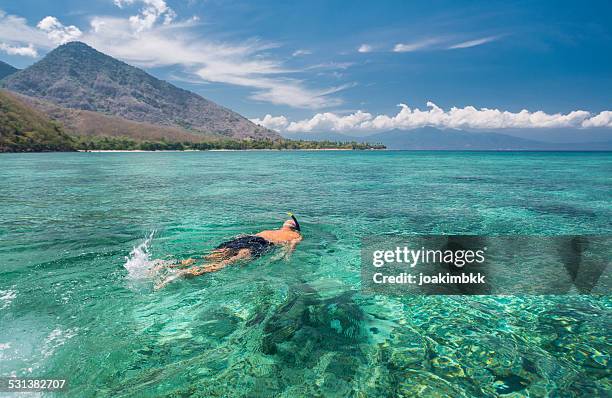 man snorkeling in crystal blue waters - flores island indonesia stock pictures, royalty-free photos & images