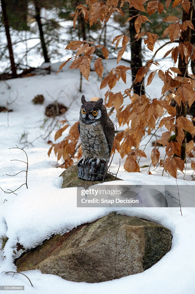 Plastic owl