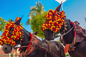Pretty Horses with colorful ornaments participate in the famous