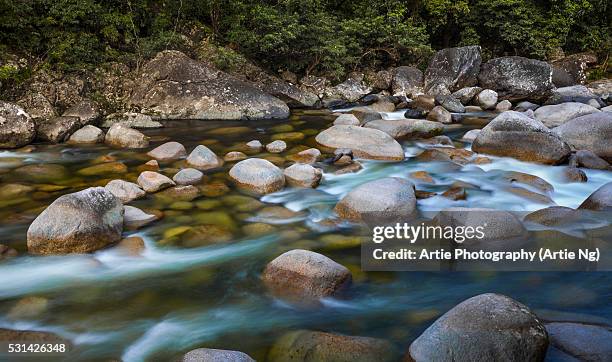 mossman gorge, daintree national park, far north queensland, australia - cairns australia fotografías e imágenes de stock