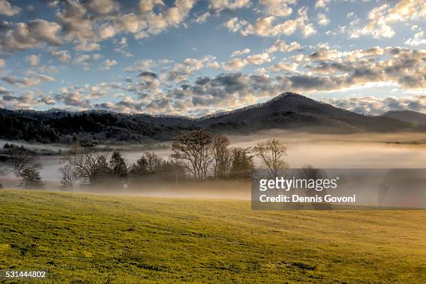 sunrise and meadow fog - cades cove foto e immagini stock