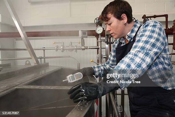 female brewer testing temperature in the tank - nicola beer fotografías e imágenes de stock