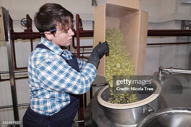 female brewery owner putting hops into tank - nicola beer fotografías e imágenes de stock