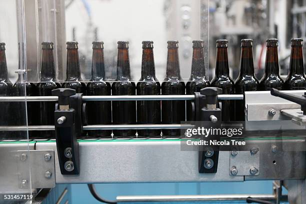 bottling machine in a micro brewery - nicola beer fotografías e imágenes de stock