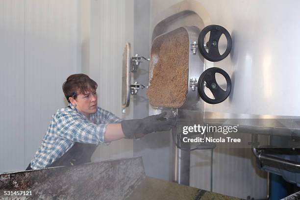 used grain being emptied from boiling tank - nicola beer stock pictures, royalty-free photos & images