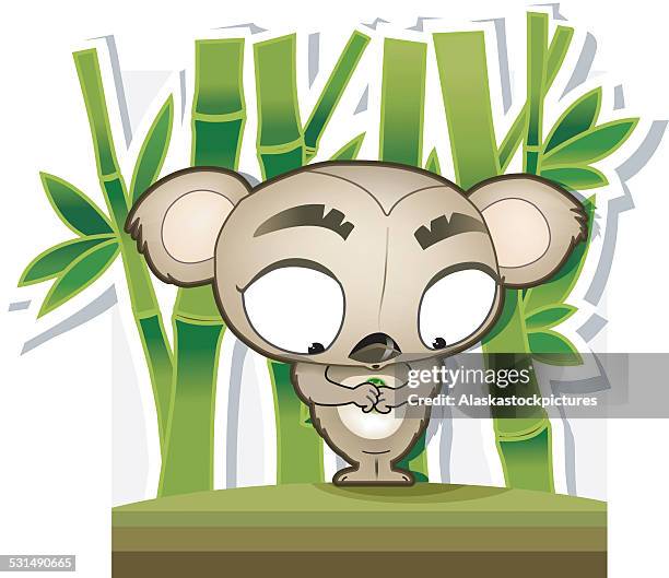 cute koala bear with bamboo background. - koala stock illustrations