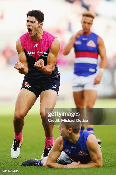 Christian Petracca of the Demons celebrates a goal above Lachie Hunter of the Bulldogs during the round eight AFL match between the Melbourne Demons...