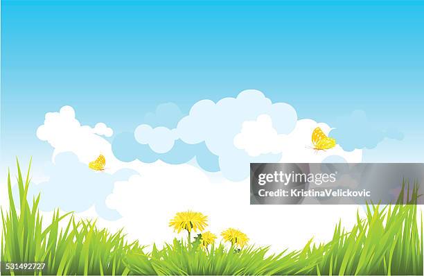 spring landscape - blue chamomile stock illustrations