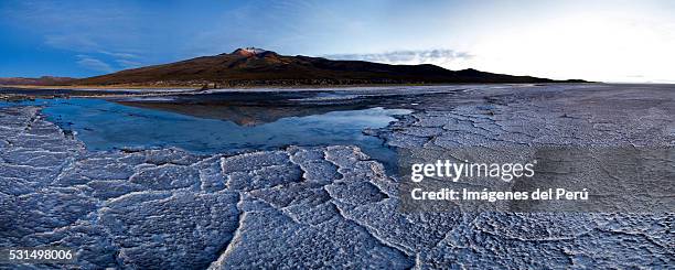 uyuni fresh and natural bolivia - imágenes stock pictures, royalty-free photos & images