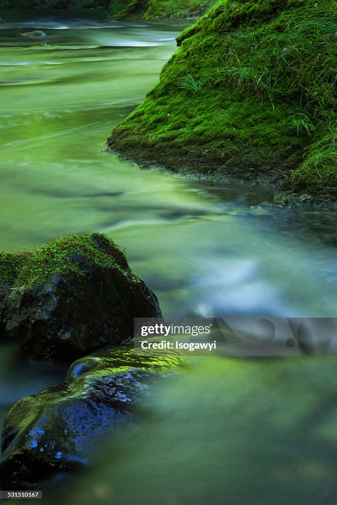 Green River